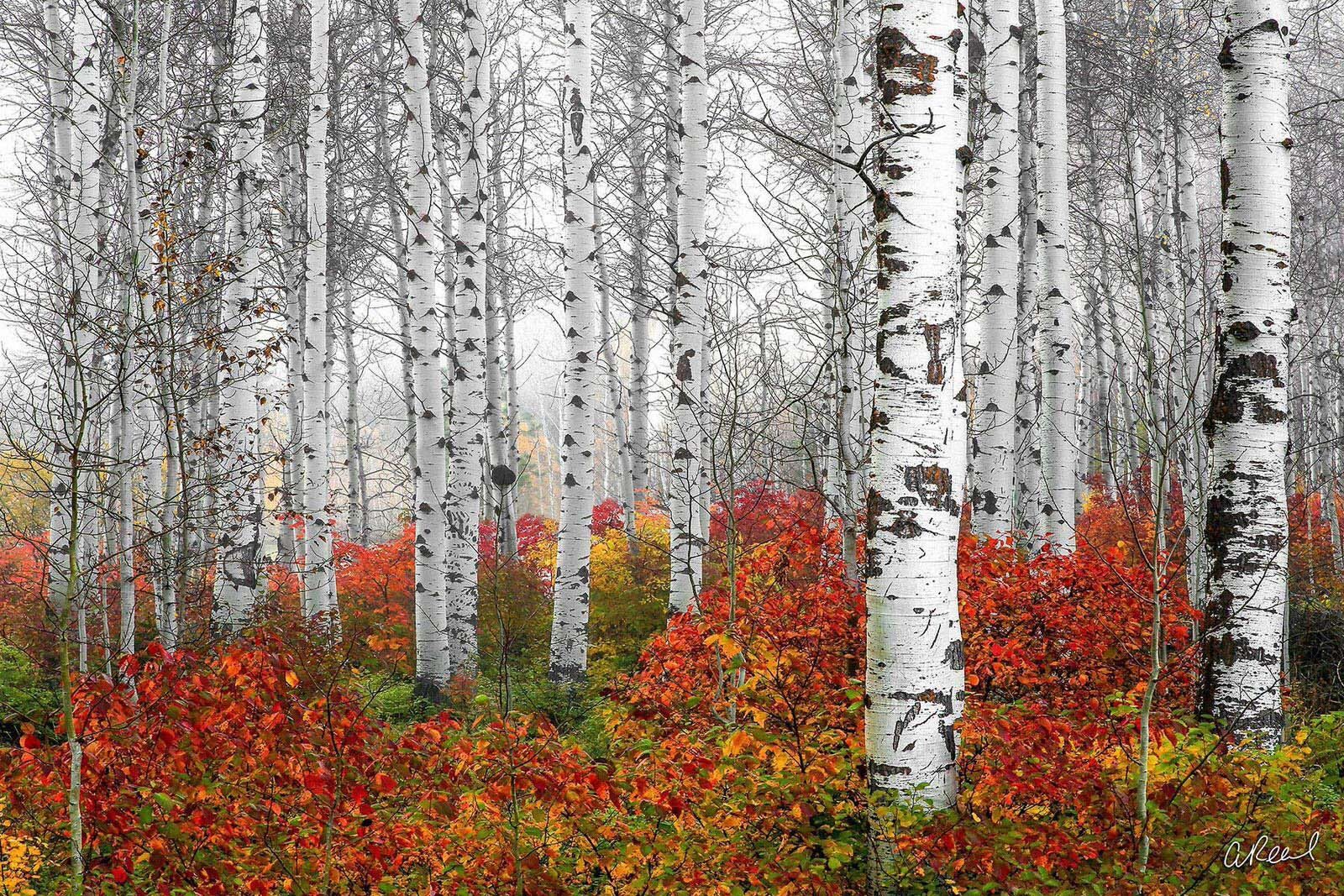 Fine Art Landscape Photography Prints