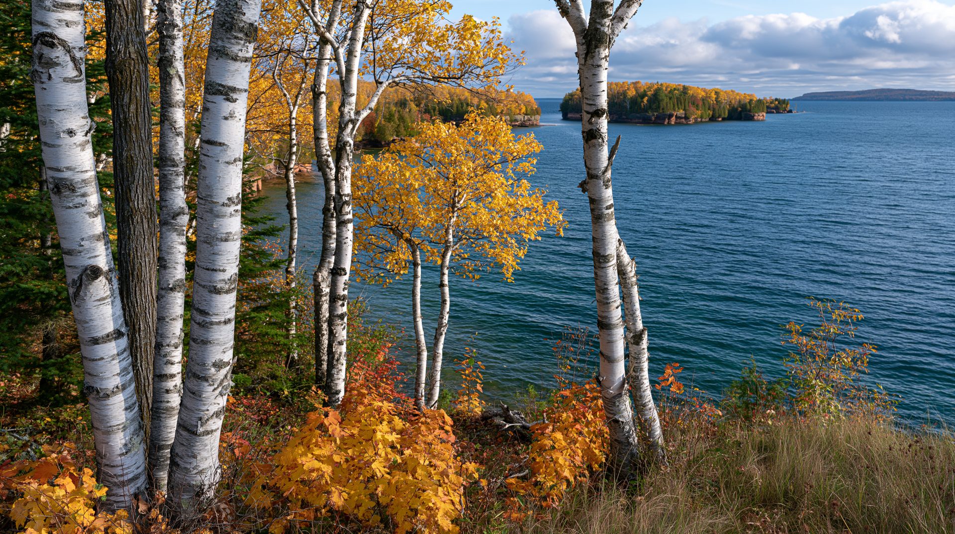 Landscape photograph framed by white-barked birch trees with yellow autumn leaves looking out over a deep blue lake toward forested islands under a cloudy sky.