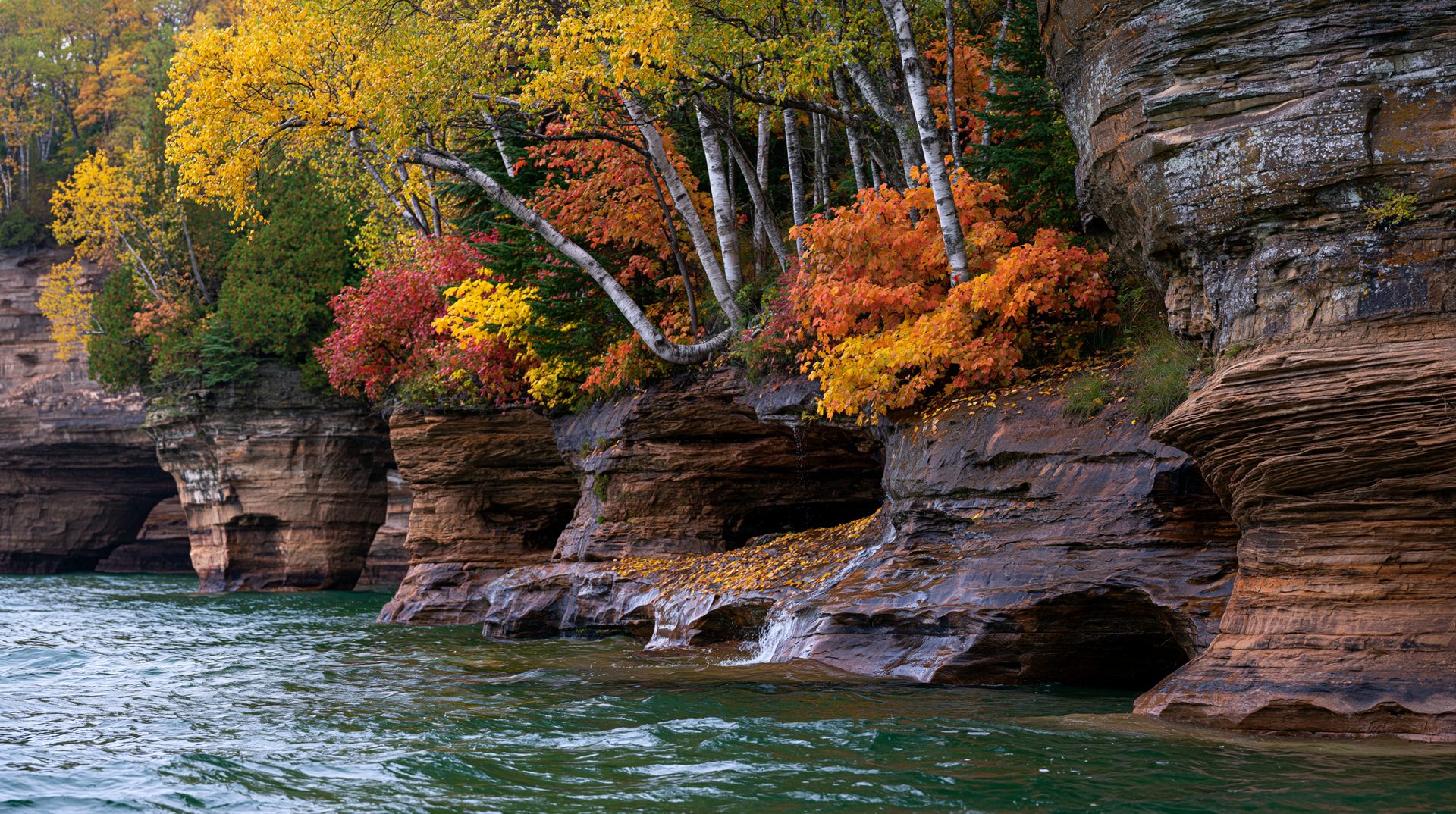 A close wide-angle shot of rocky sandstone sea caves and arches along a body of water, topped with colorful red, yellow, and green autumn trees.