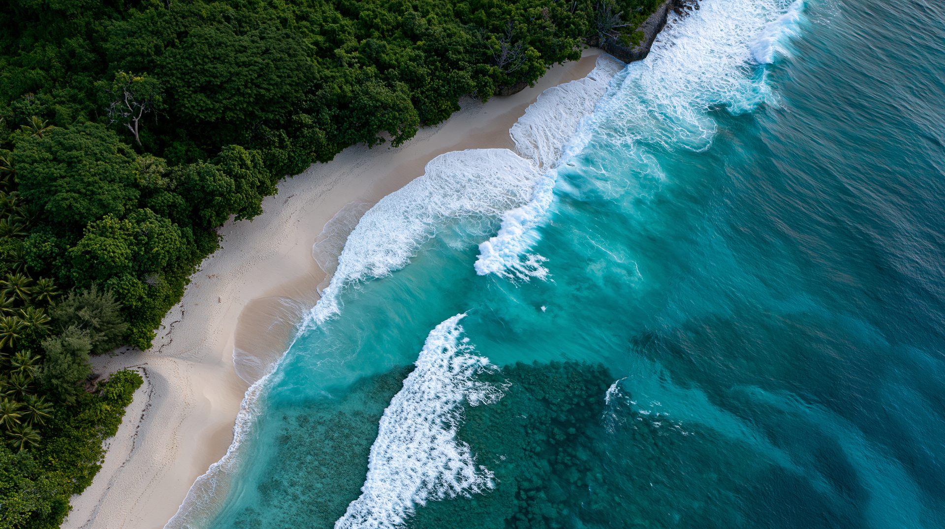 High-angle aerial drone photograph of white ocean waves crashing onto a sandy beach bordered by a dense, lush green tropical forest in Vanuatu.