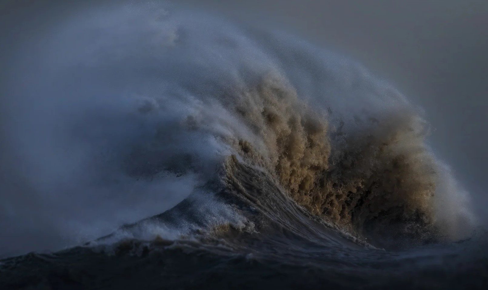 Dave Sandford International award winning nature photographer