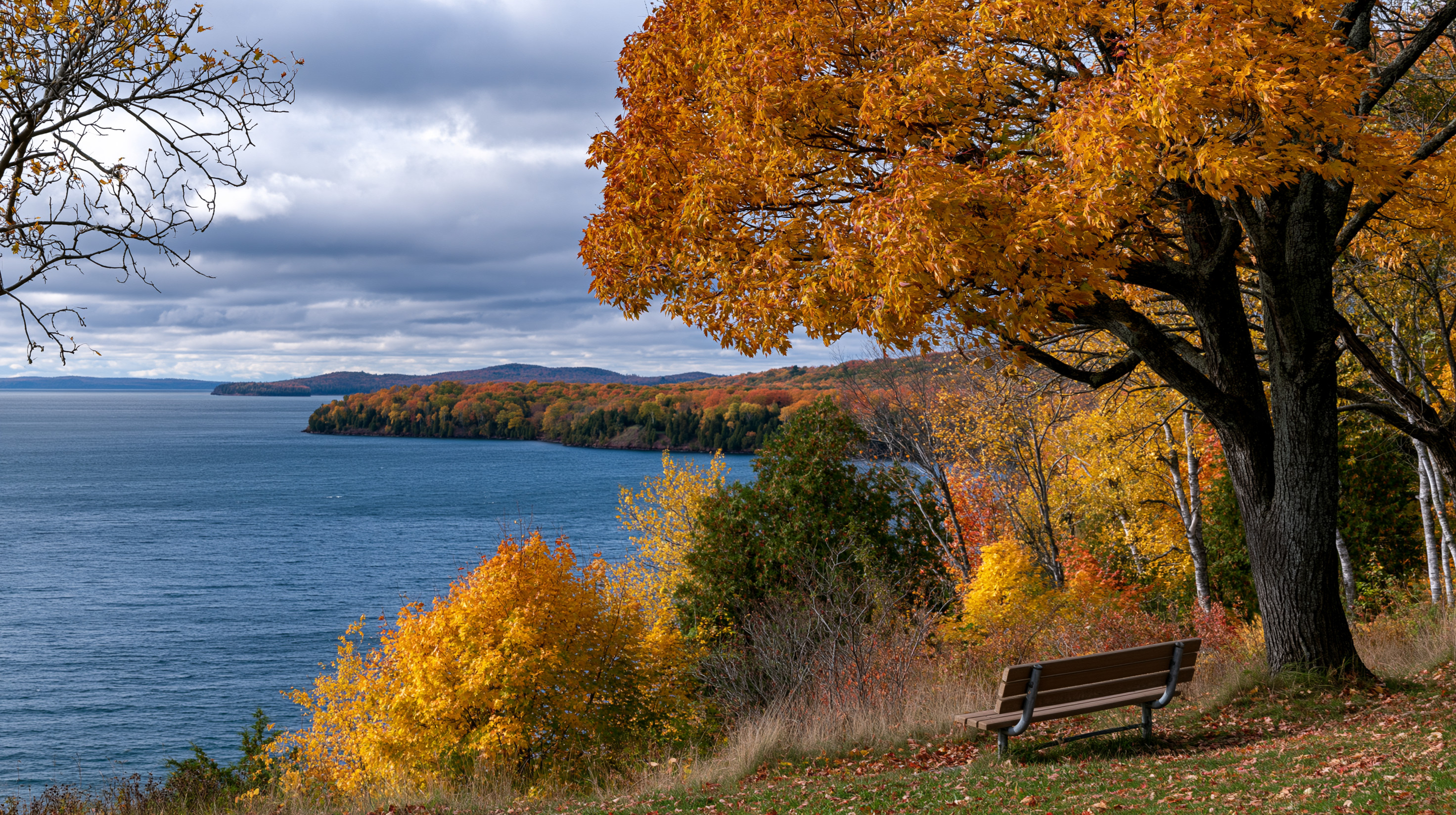 Landscape photograph of a wooden park bench under a large orange sugar maple tree on a grassy hill overlooking a large blue lake and distant autumn-colored islands under a cloudy sky.