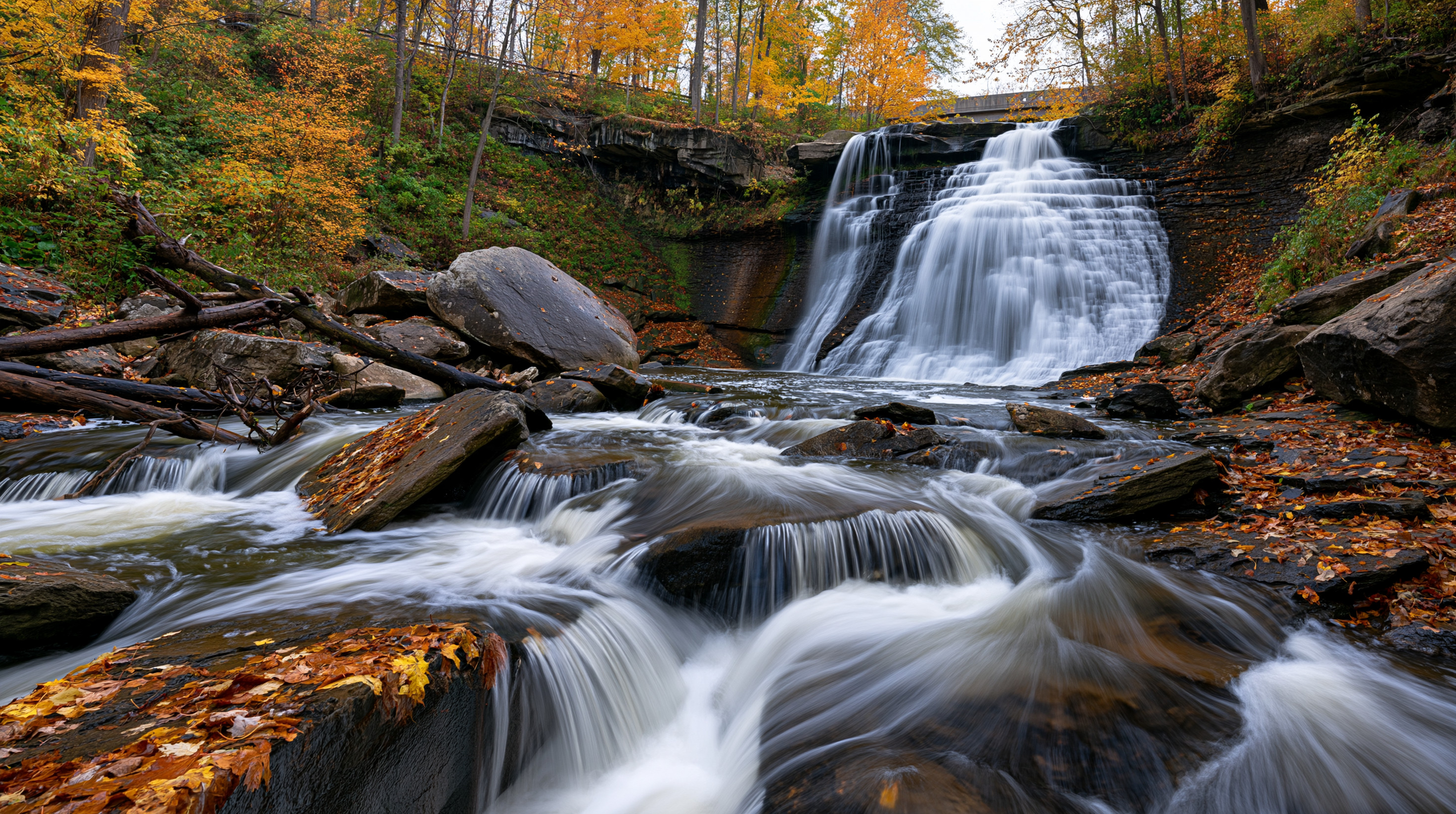 A vibrant autumn landscape photograph showcasing Brandywine Falls cascade in a deep gorge, surrounded by bright orange and yellow fall foliage with long exposure silk-textured water rushing over foreground rocks covered in fallen leaves.