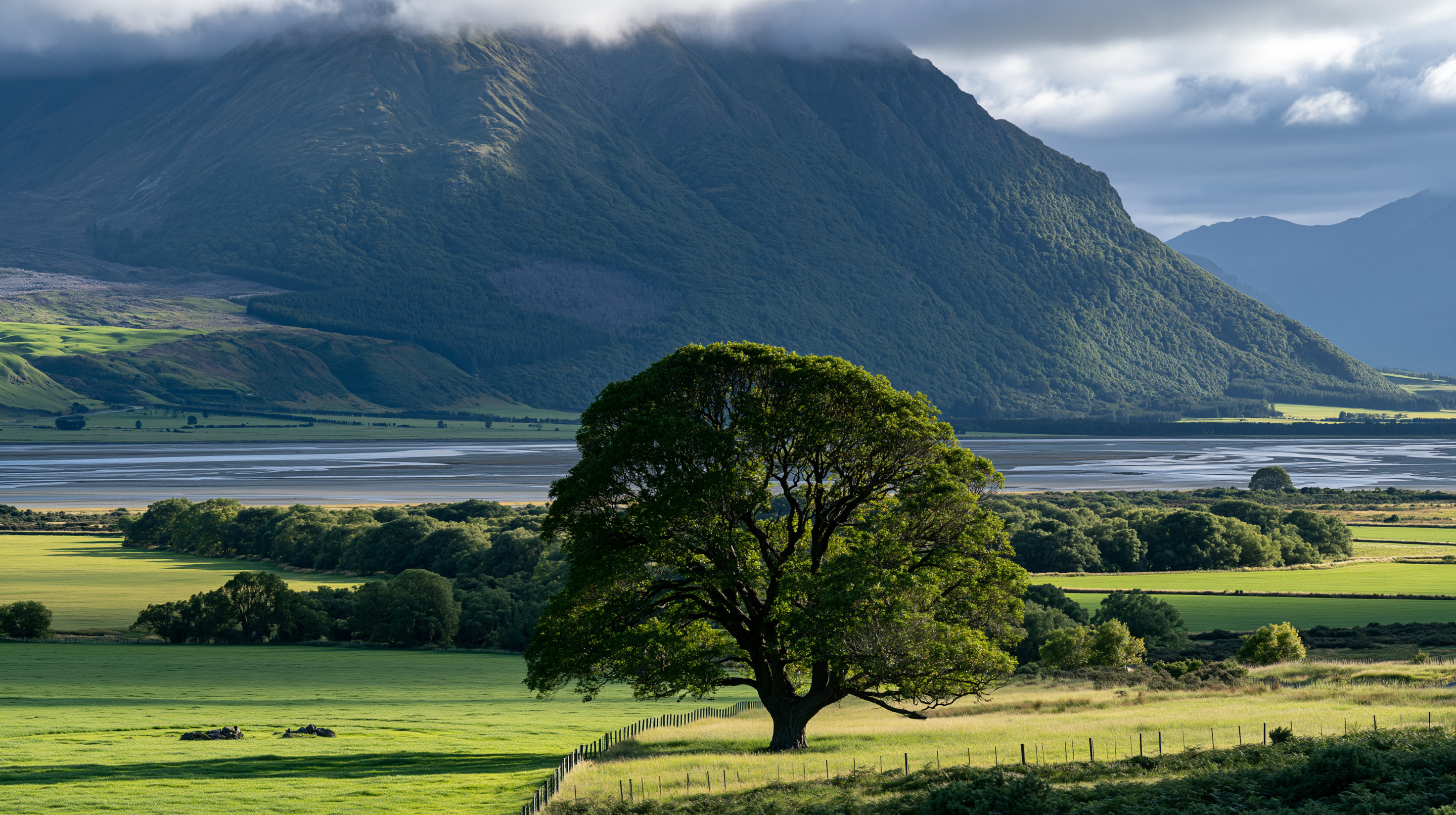 A vibrant landscape view in New Zealand showing a large, leafy green tree standing prominently in a sunlit pasture, with a wide braided river and a massive, cloud-capped mountain rising dramatically in the background.