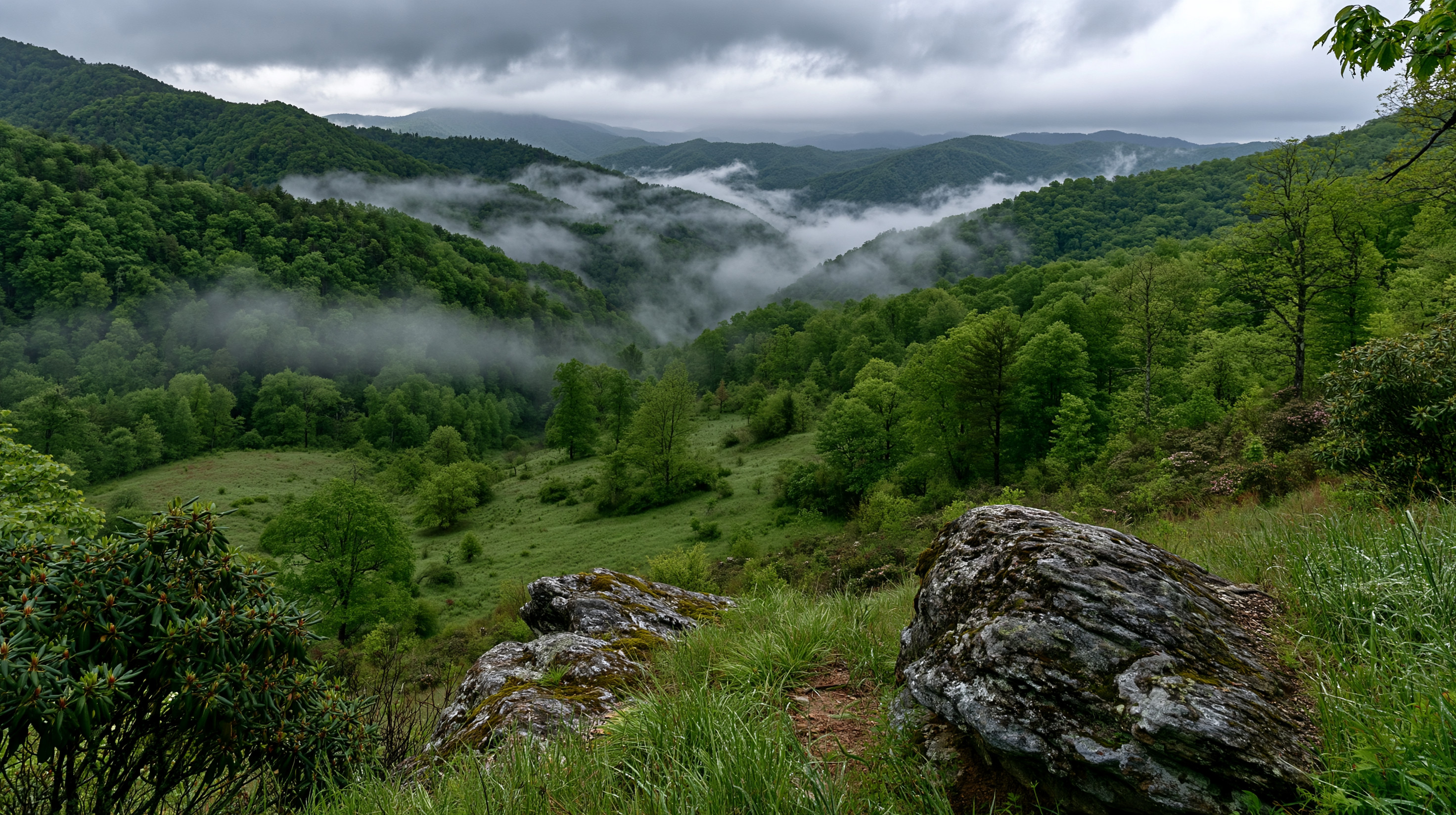 A scenic view from a grassy, rocky overlook on the Appalachian Trail, showing a lush green mountain valley filled with wispy morning fog under an overcast sky.