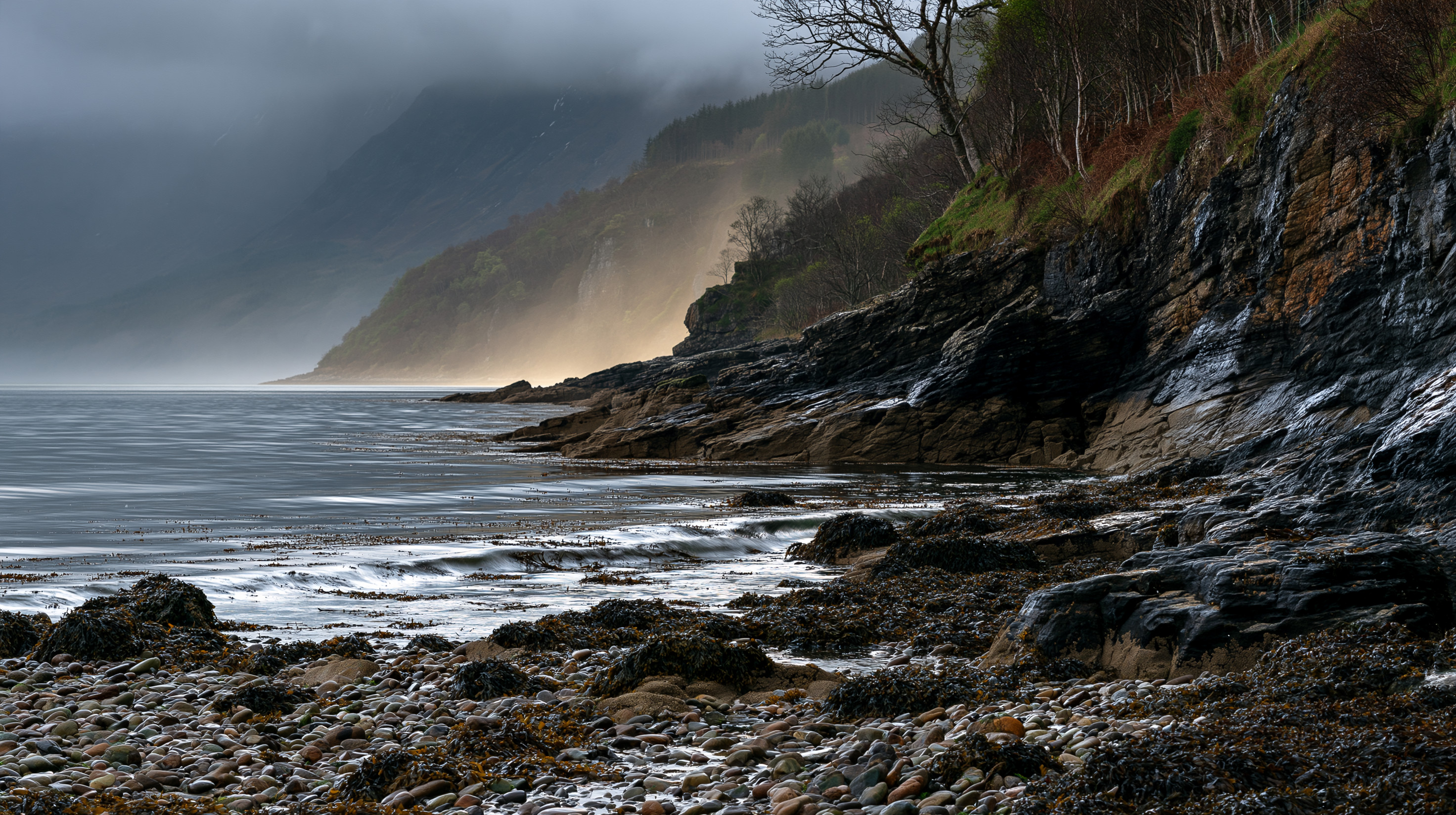 A dramatic, wide-angle landscape photograph of a rugged Scottish shoreline under a dark, storm-heavy sky. The foreground features a beach of multi-colored, rounded pebbles and dark, wet boulders covered in patches of seaweed. On the right, a sheer, dark rock cliff rises steeply, its top covered in a dense grove of slender, leafless birch trees. In the background, the ocean stretches toward distant, massive cliffs heavily shrouded in low-hanging gray fog, with a dramatic pocket of golden light illuminating a misty mountain face in the distance.
