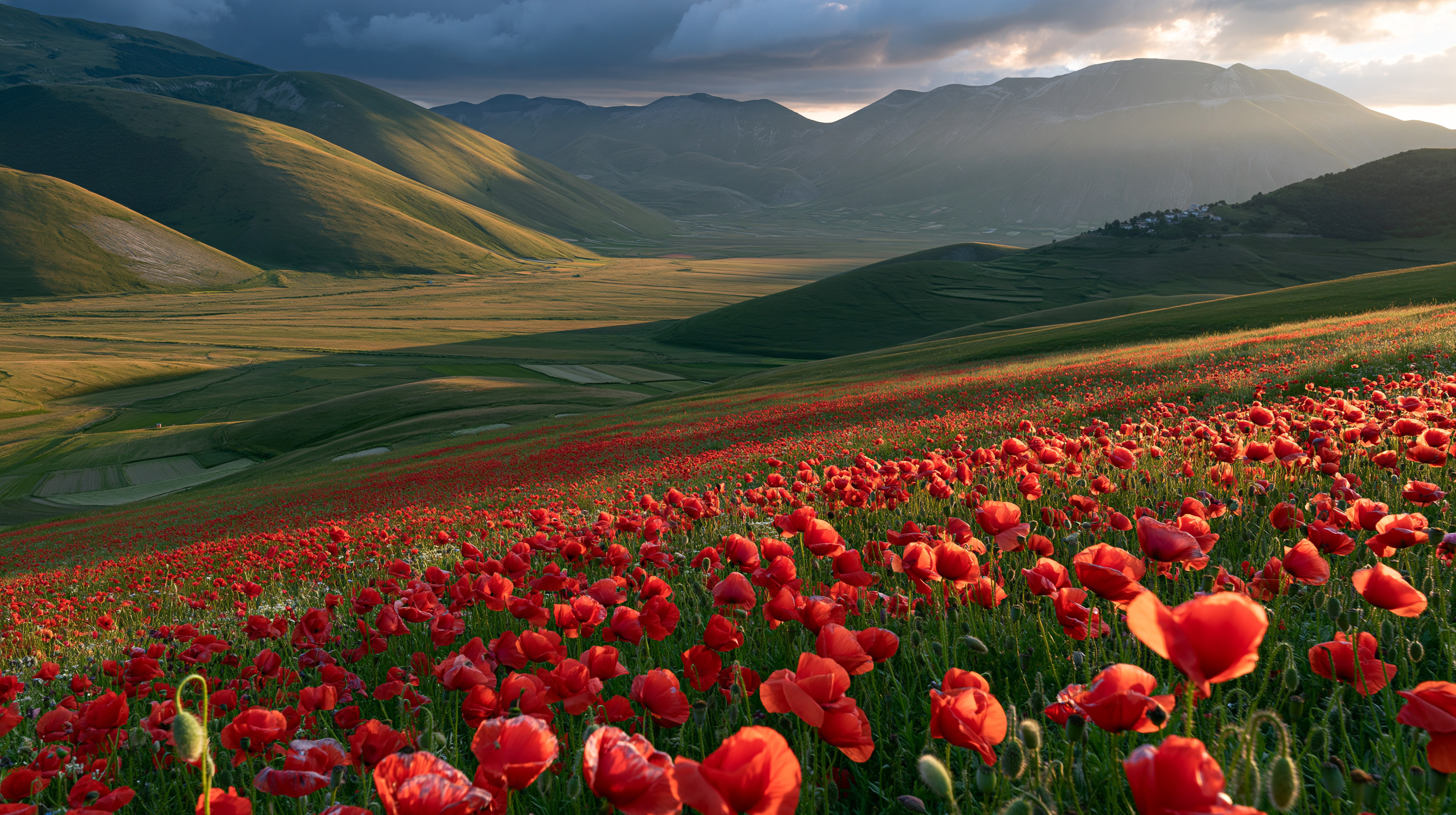 A breathtaking wide-angle landscape photograph of a vast, sloped field of vibrant red poppies blooming in an Italian mountain valley under a dramatic twilight sky with low sunlight.