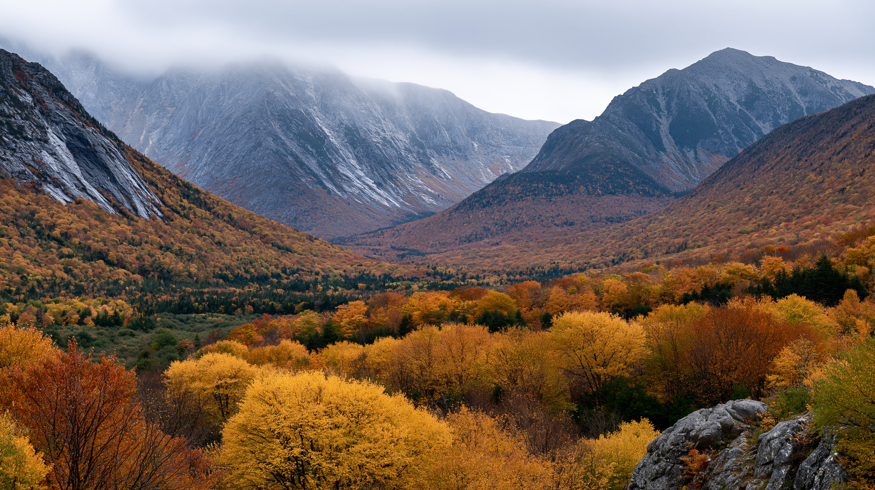 A breathtaking autumn landscape showing a dense golden and orange forest floor contrasted against the dark, snow-dusted slopes of Mount Colden under a low, heavy blanket of storm clouds.