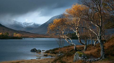 A scenic landscape photograph of golden silver birch trees along the edge of a blue lake in Scotland, with snow-capped mountains under a dark, dramatic storm sky in the distance.