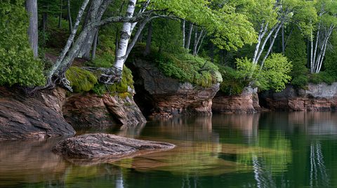 A calm wide-angle view of a rocky sandstone shoreline with small sea cave openings, topped by a lush green forest with white birch trees reflecting into still, clear green water.